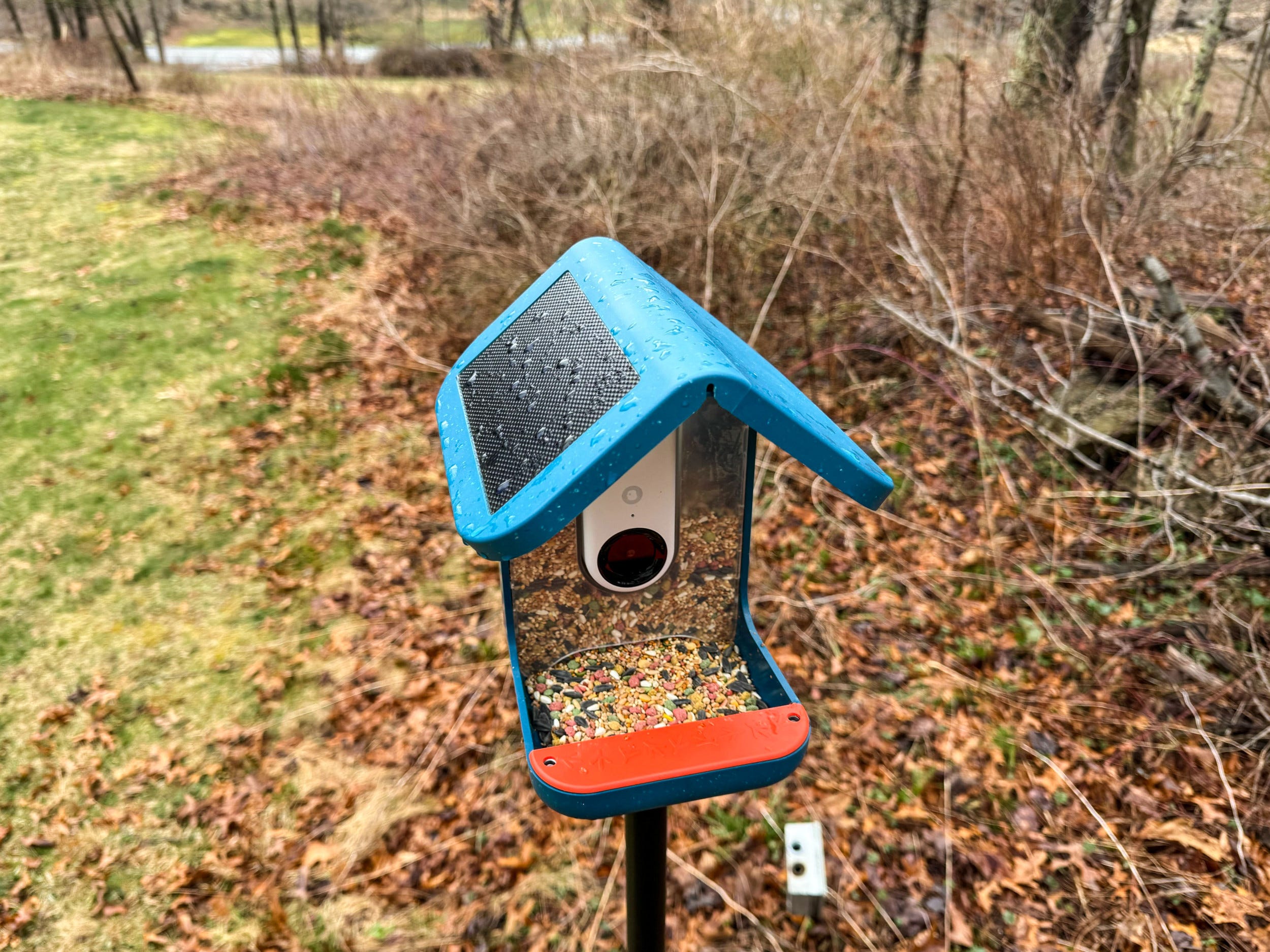 Become an Amateur Ornithologist in Your Own Backyard With These Smart Bird Feeders