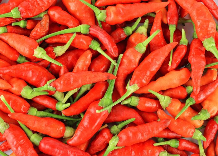 chili long underwear