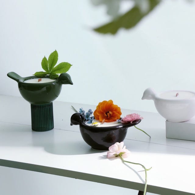 Bird Shaped Candle The Nopo Gunia Project bird shaped candle the nopo gunia project