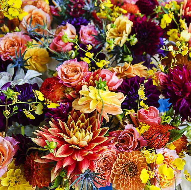 What Your Birth Flower Says About You The Birth Flower For Each Month Of The Year