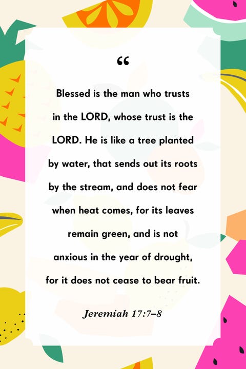 Birthday Bible Verse For Brother 27 Bible Verses For Birthday To Share With Friends And Family Birthday Bible Verse For Brother 27 Bible Verses For Birthday To Share With Friends And Family