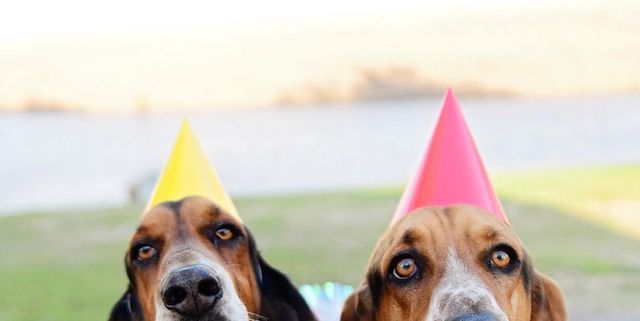 62 Birthday Wishes For Your Best Friend Birthday Card Messages