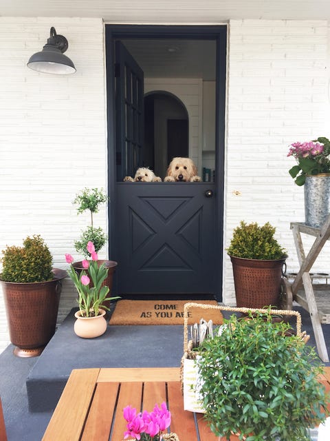 Flowerpot, Door, Houseplant, Home door, Home, Plant, Room, House, Porch, Interior design,