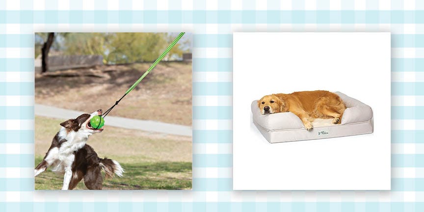 Pet Products Our Editors Love Are on Sale This Weekend!