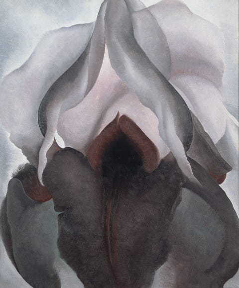 iconic-georgia-okeeffe-painting-flower