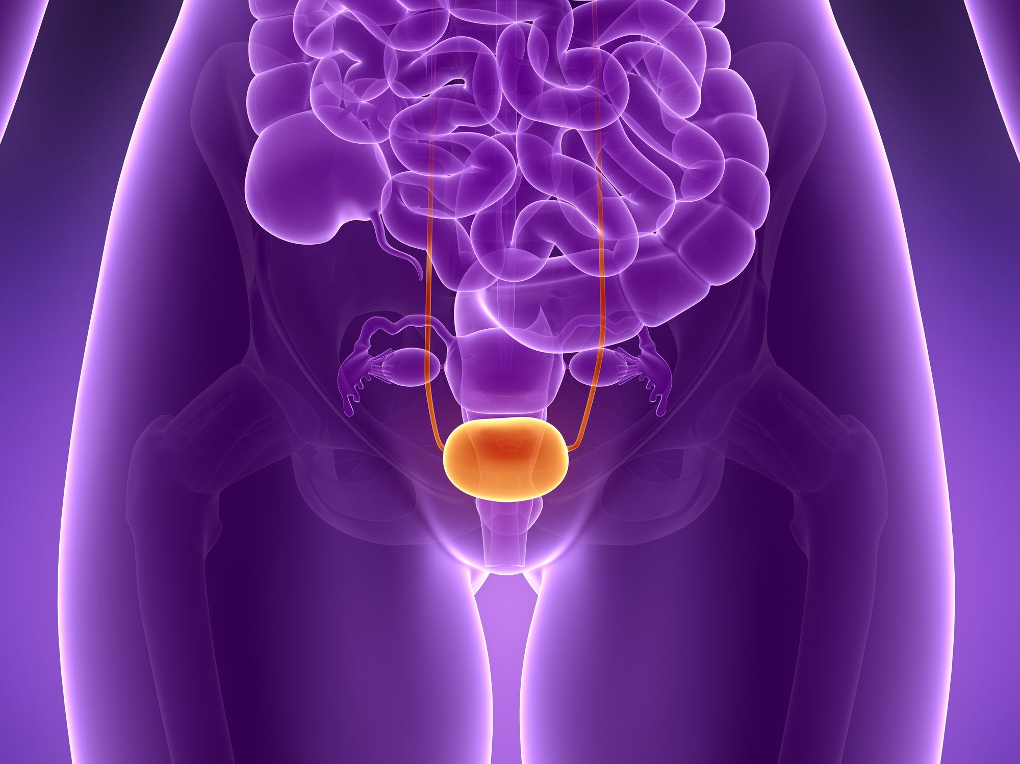 Bladder Cancer Symptoms In Women Bladder Cancer Causes