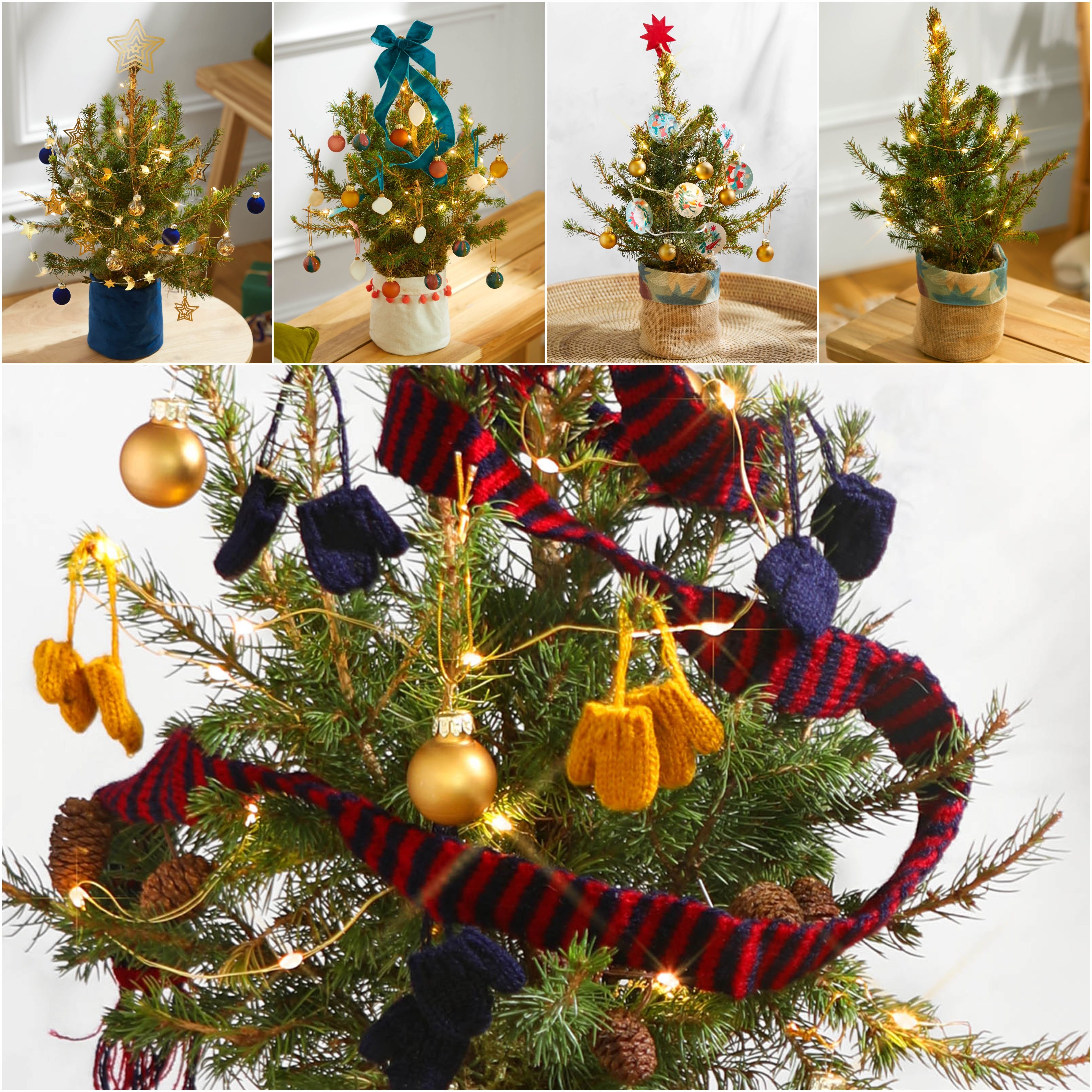 Bloom And Wild Christmas Trees - 6 Tiny Christmas Trees For 2021