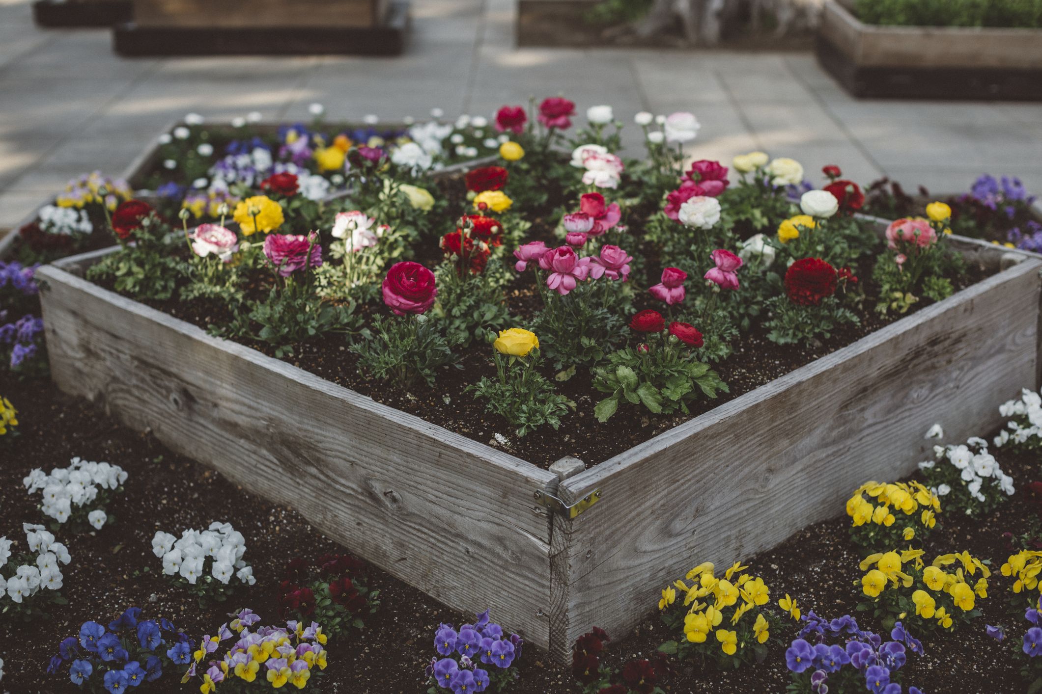 12 Best Raised Garden Beds for Your Outdoor Space