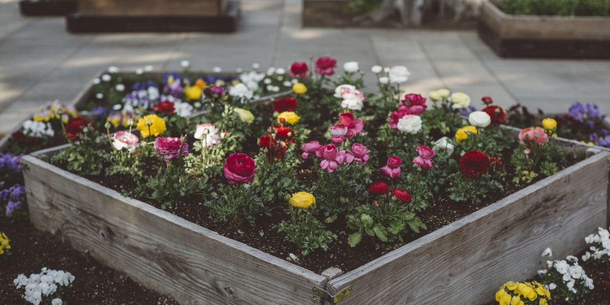 12 Best Raised Garden Beds for Your Outdoor Space