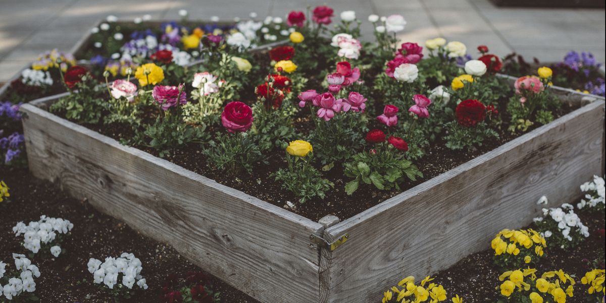 12 Best Raised Garden Beds For Your, How To Plant Flowers In A Raised Garden Bed