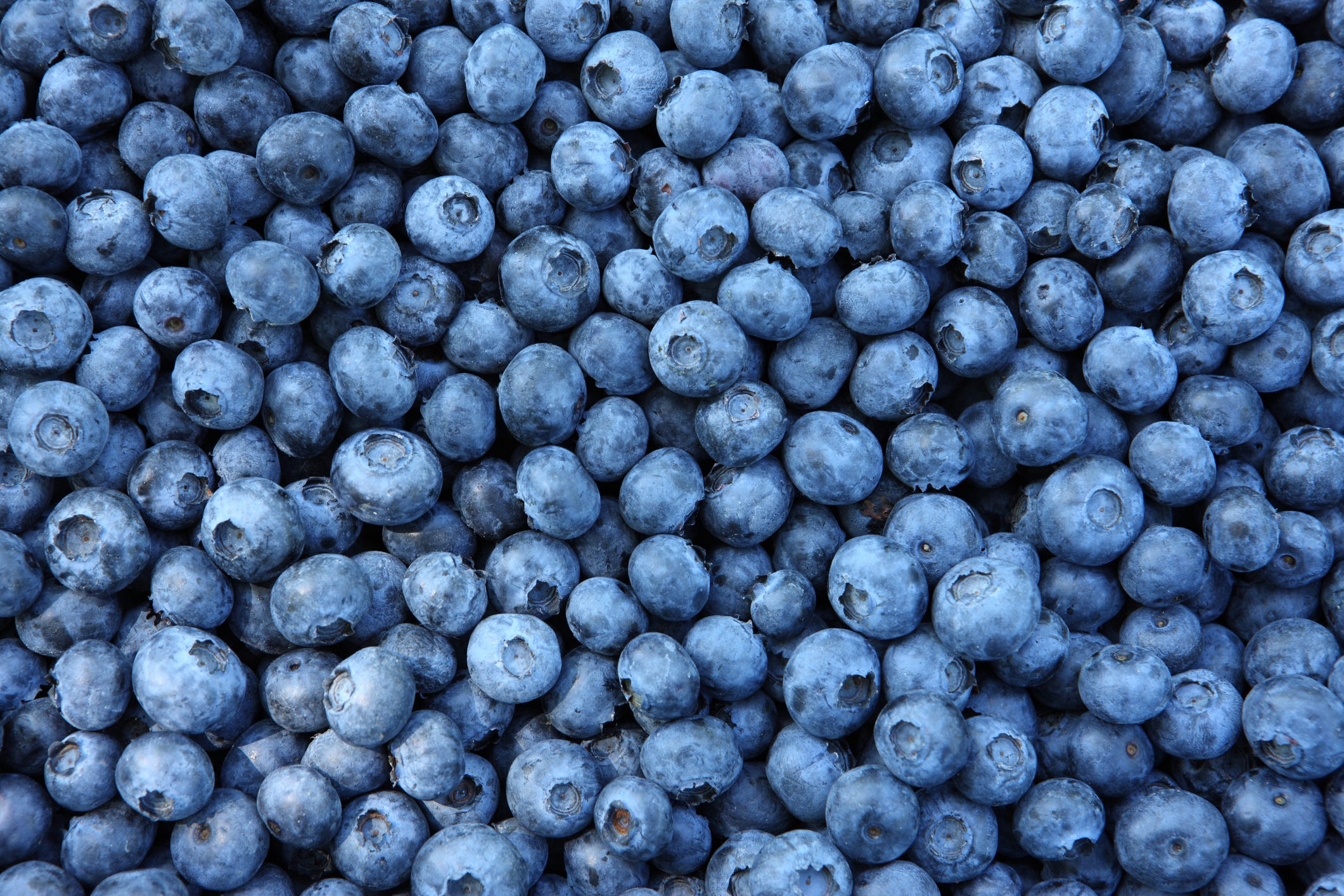 11 Foods That’ll Boost Your Bone Strength and Joint Health