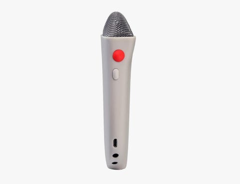 mic