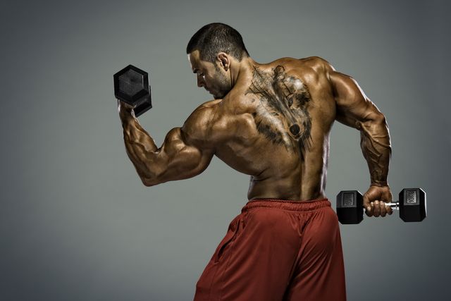 ejercicios para los bíceps