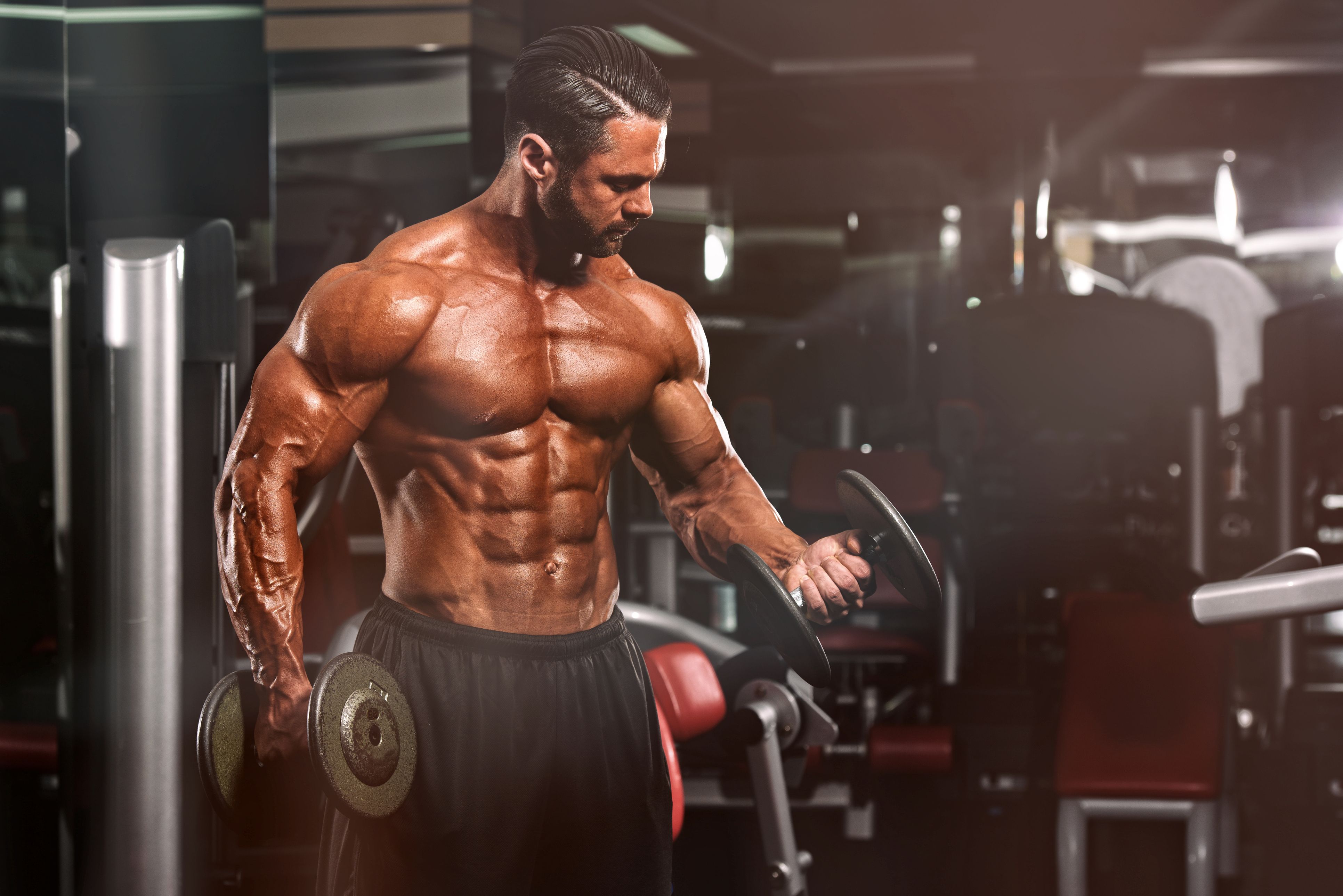 What Is Hypertrophy How Muscle Hypertrophy Helps Build Size