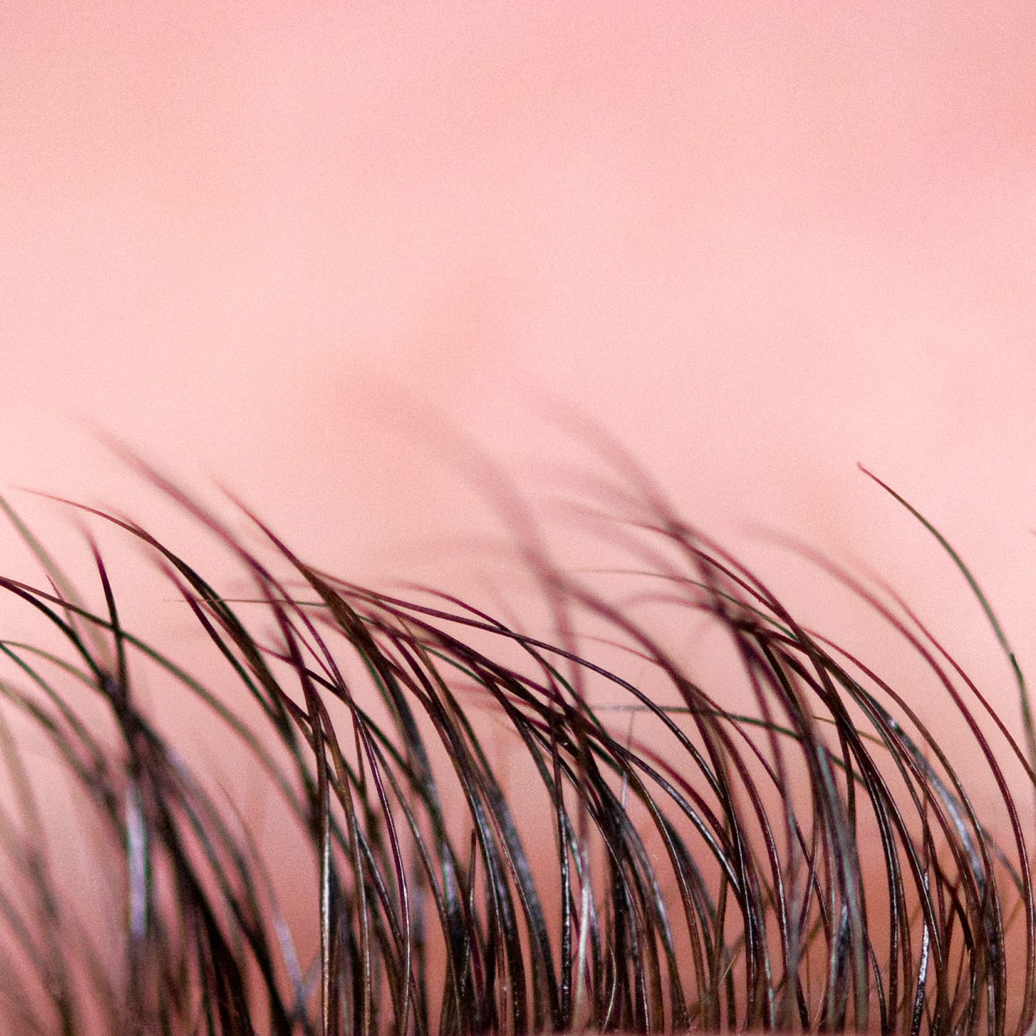 Hair back my grow pubic will Pubic Hair: