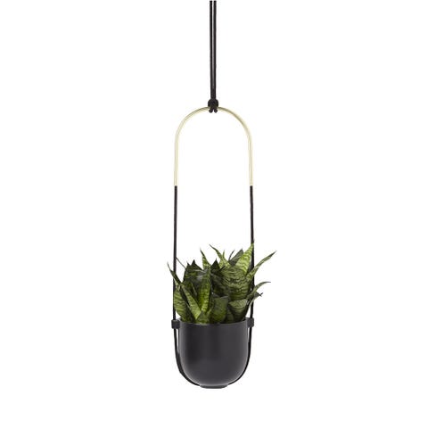 13 Best Indoor Hanging Planters