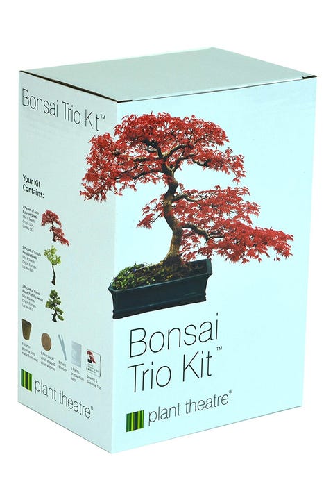 Best Gifts For Mom Perfect Mothers Under 50 Bonsai Trio Kit