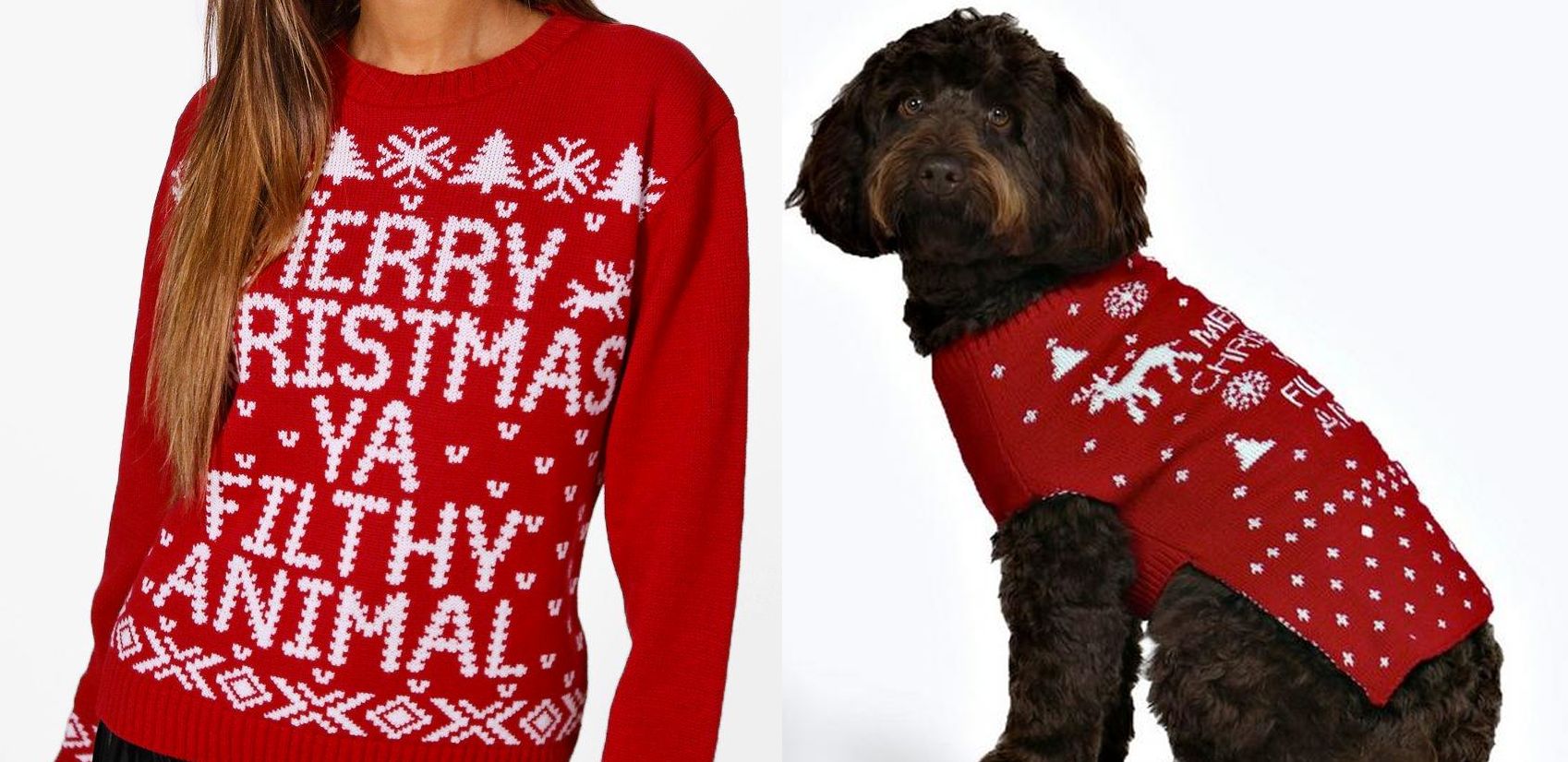 dog matching christmas jumper