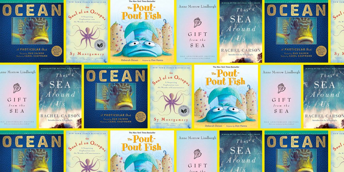 21 Best Books For Ocean 2022, Turtle Coffee Table Books