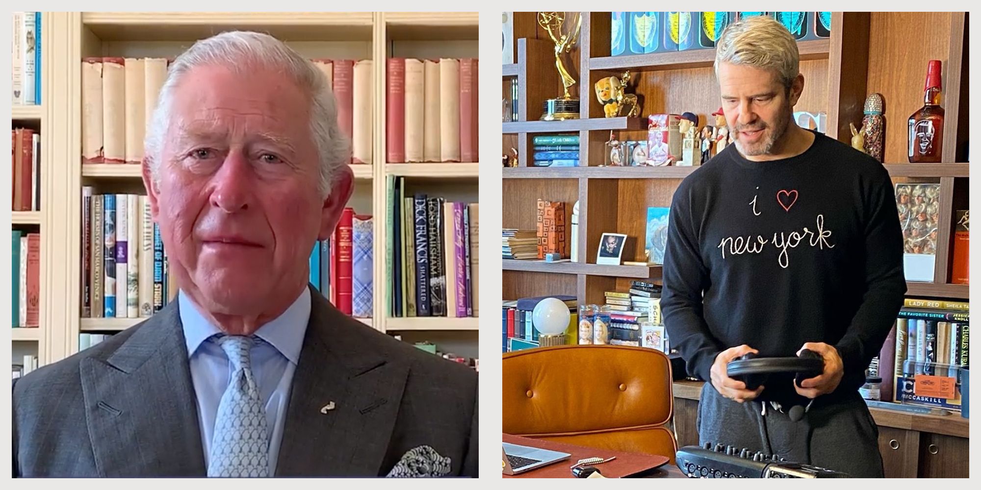 Celebrity Book Curator Ranks Famous Bookshelves On Video Chat