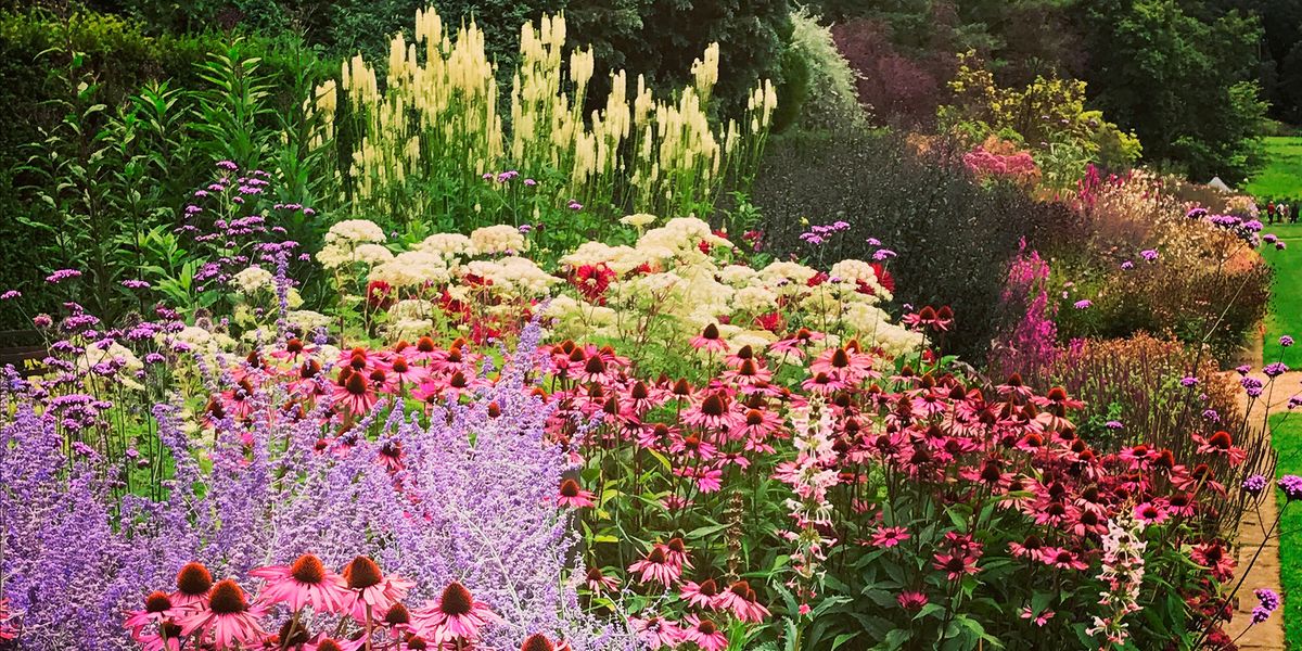 Summer Garden Borders, How To Create A Garden Border Uk