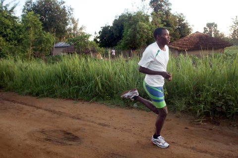 Born To Run Back Born To Run Back