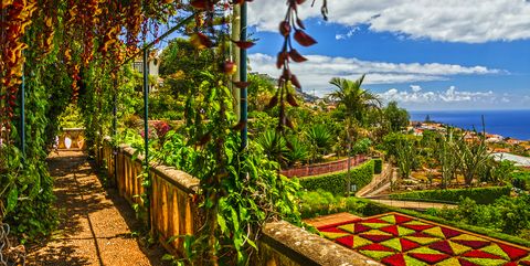 How You Can Explore Madeira S Best Gardens With Gardeners World