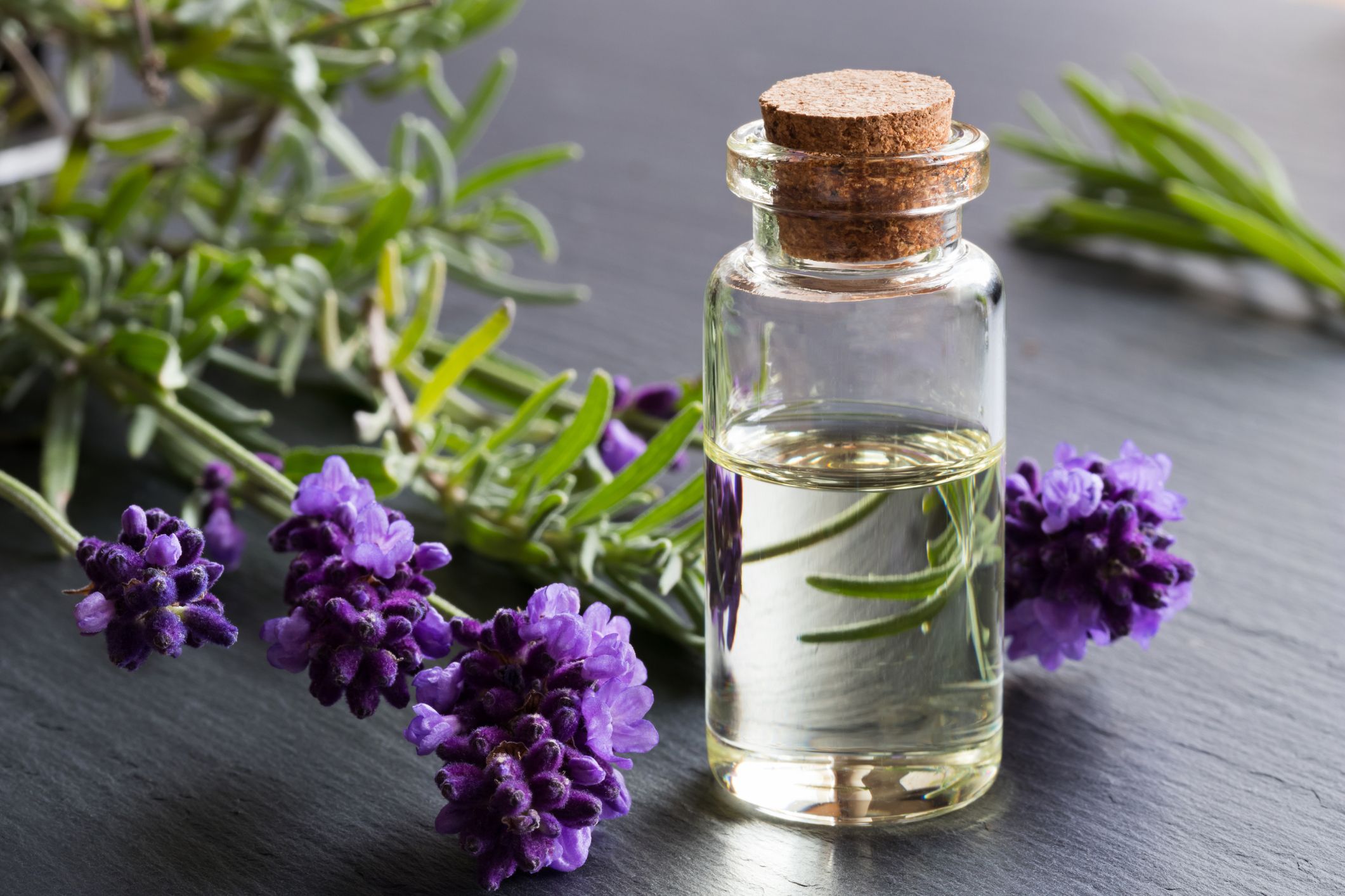 8 Lavender Oil Benefits and Uses, Backed by Science