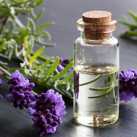 Image result for lavender oil,nari