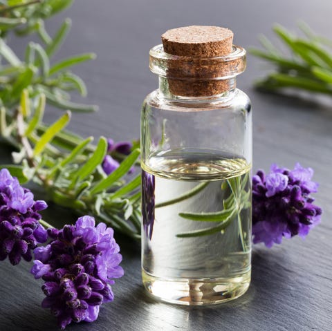 Image result for Lavender oil,nari