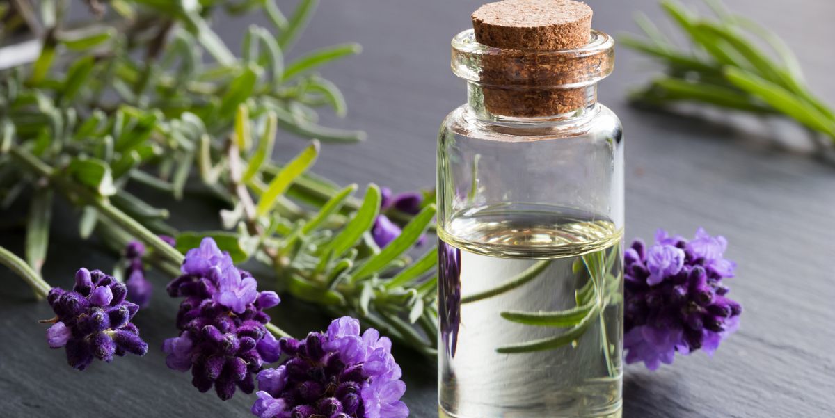 8 Lavender Oil Benefits and Uses, Backed by Science