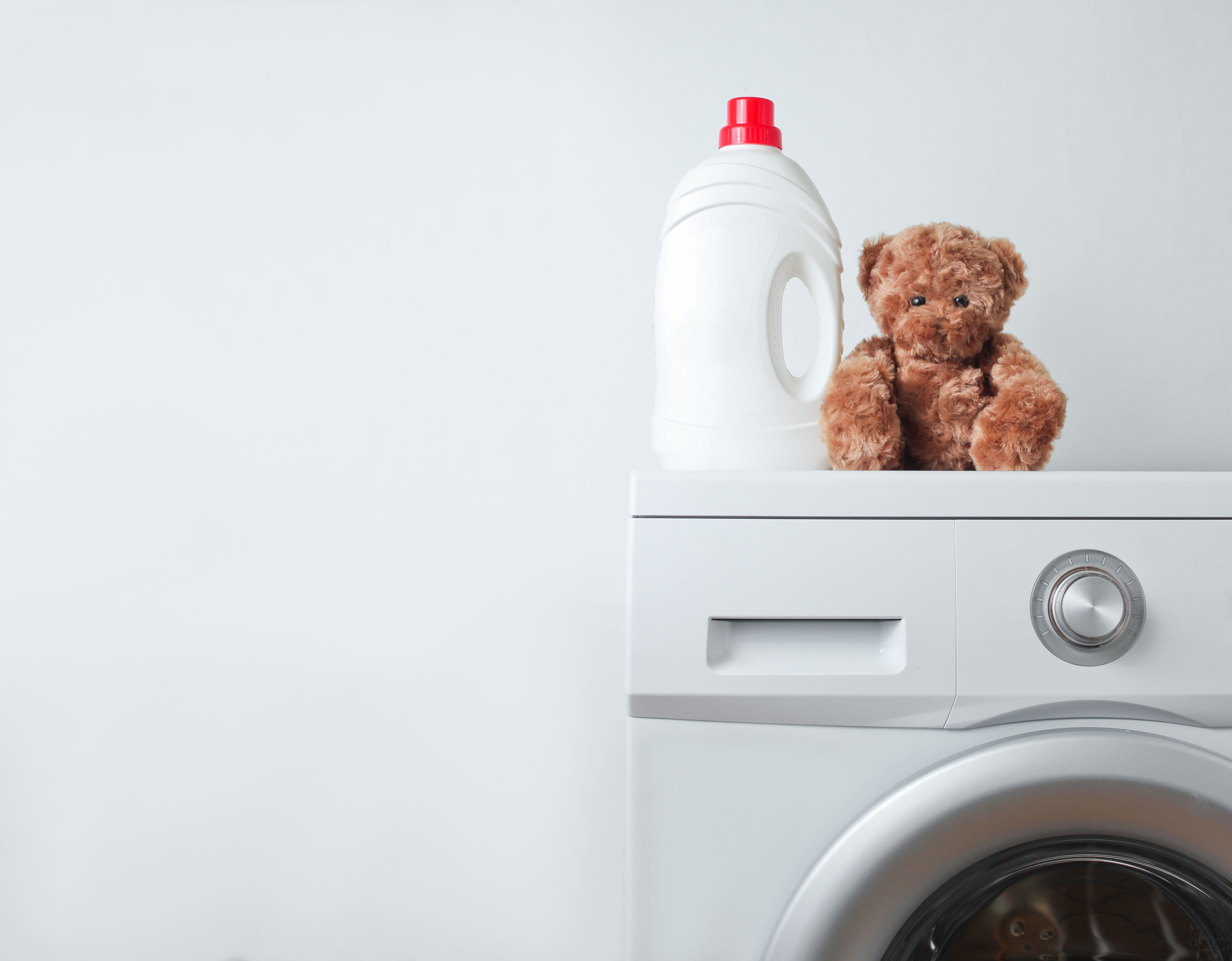 teddy bear in washing machine