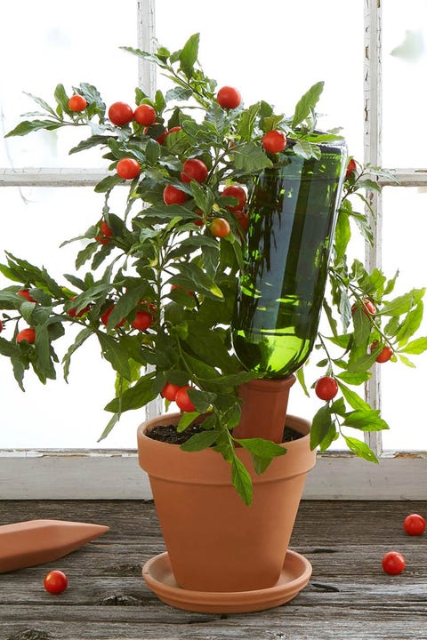 13 Best Gardening Gifts For Mom 2018 Unique Gift Ideas Gardeners Garden Gift