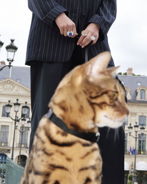 貓奴的夢幻系珠寶特蒐！boucheron貓咪、cartier美洲豹、chanel獅子，15款指尖上的小貓讓心都融化