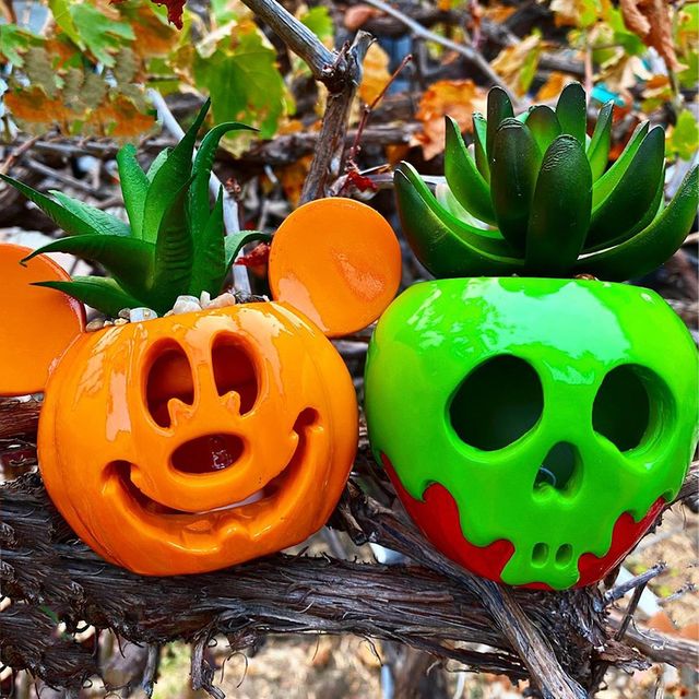 disney halloween succulents from box lunch