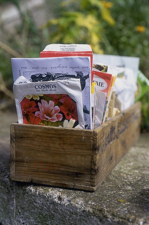 Box of seed packets