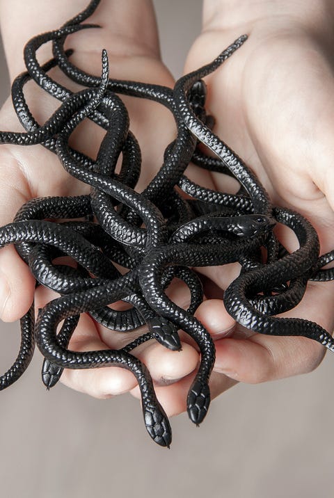Boy holding a snakes boy holding a snakes