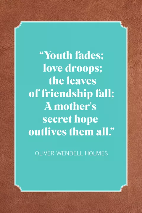 boy mom quotes  oliver wendell holmes
