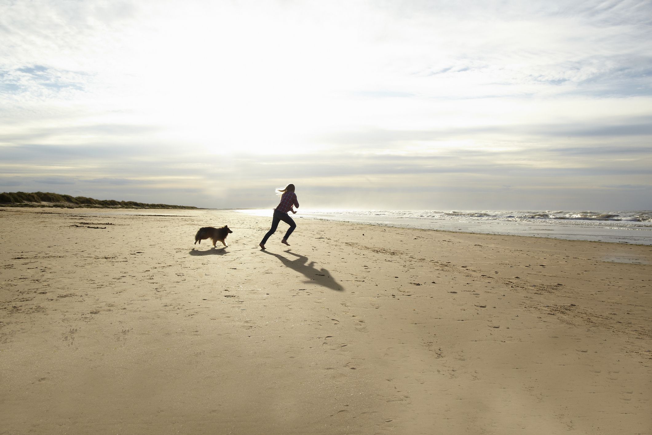 are norfolk beaches safe for dogs