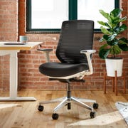 Branch Ergonomic Chair chair