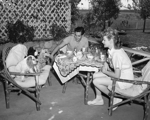 lucille ball and desi arnaz with dogs at home
