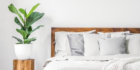 How to Wake Up Early and Become a Morning Person, According to Experts