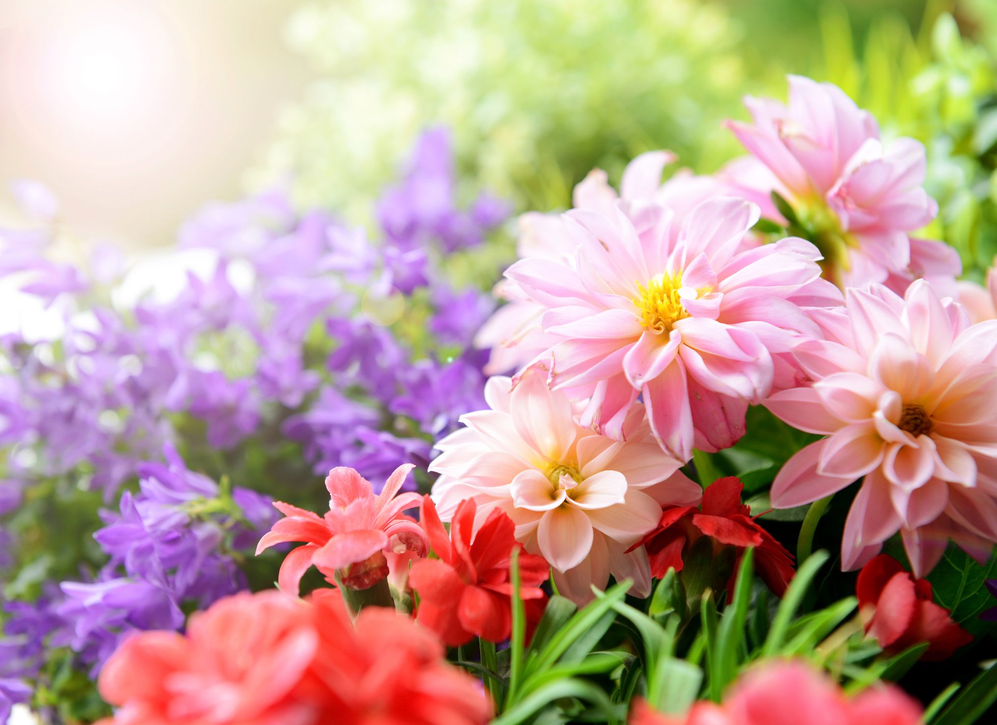 Flower Gardens How To Create A Flower Garden With Year Round Blooms