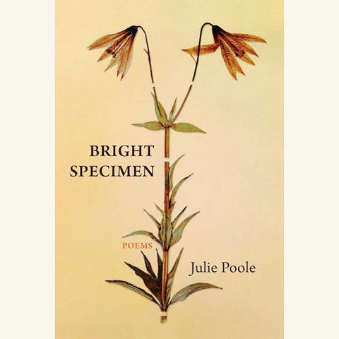bright specimen, julie poole