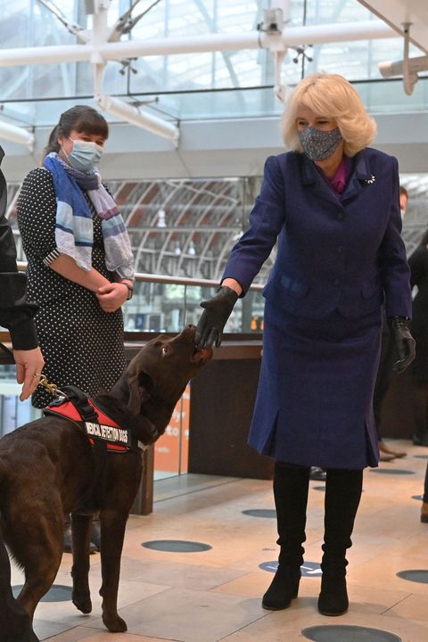 britains-camilla-duchess-of-cornwall-pats-a-dog-during-a-news-photo-1603985939.