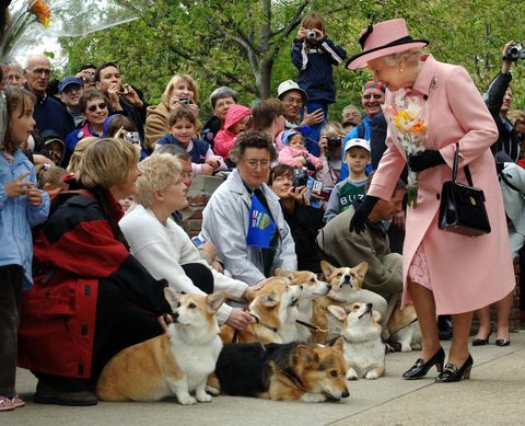 みんな犬派 写真で振り返るイギリス王室メンバーとワンちゃん
