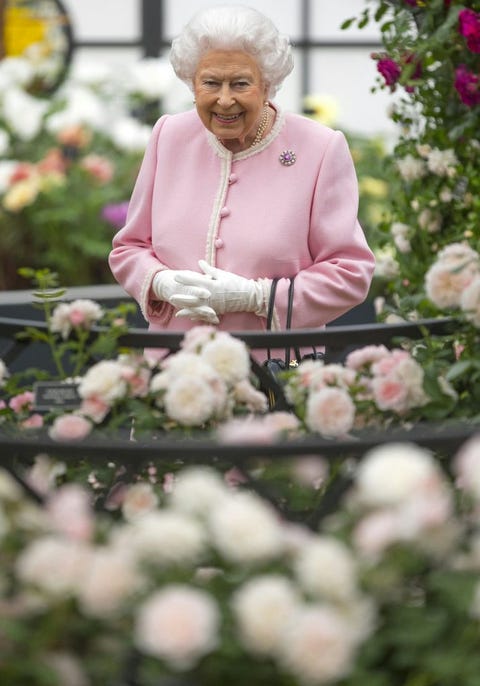 the queen at the chelsea flower show in 2018