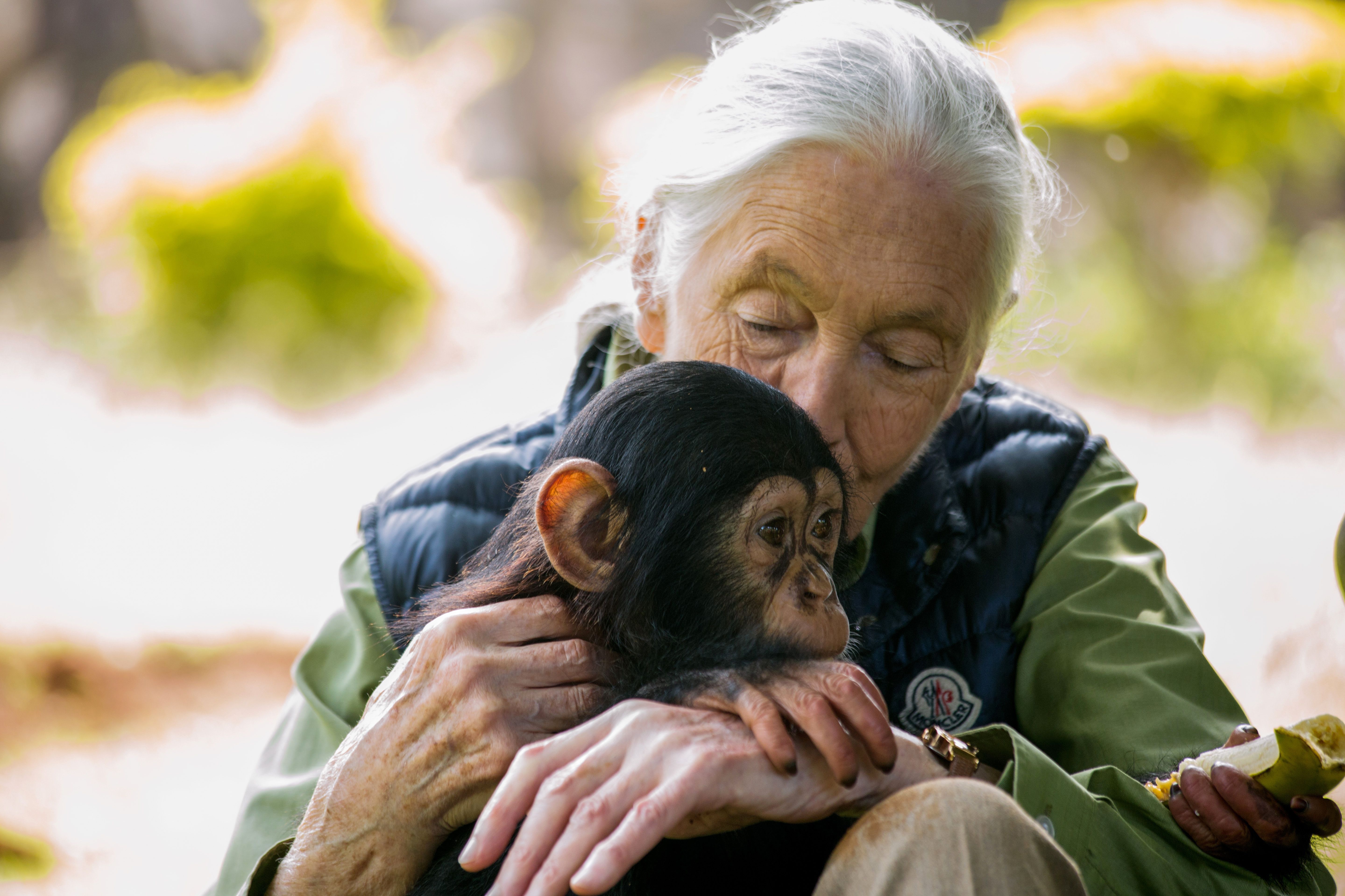Jane Goodall | emsekflol.com