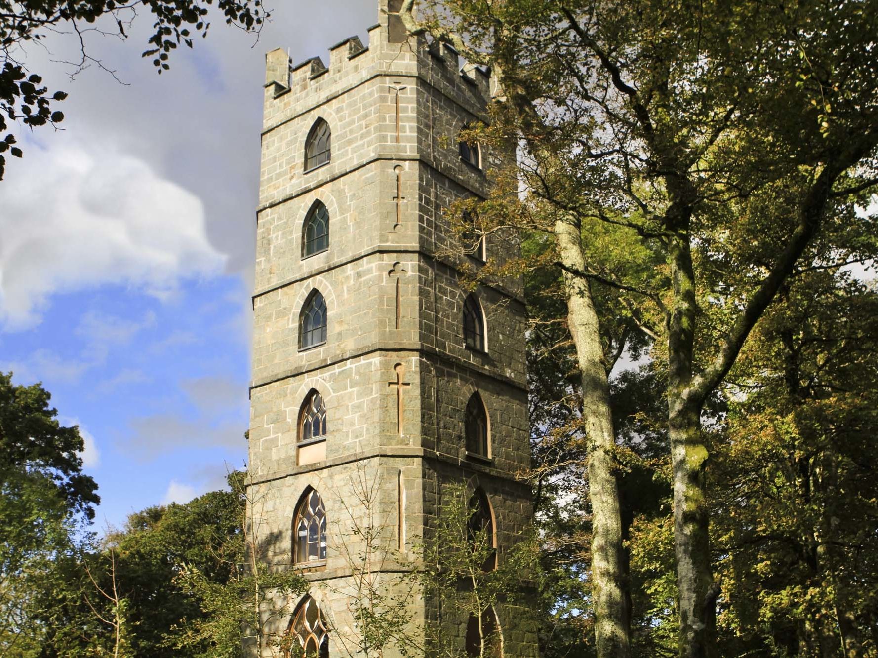 tangled castle tower