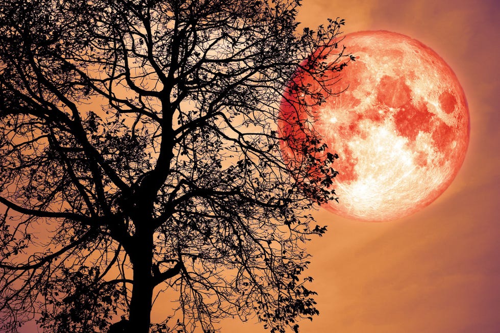The Full Strawberry Moon In Sagittarius Is Here To Shake Things Up For Your Sign